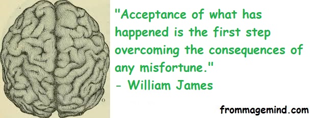 Great Quote by William James