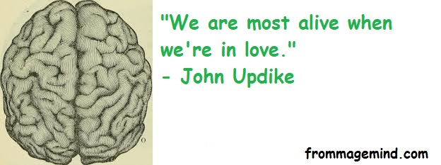 Great Quote by John Updike