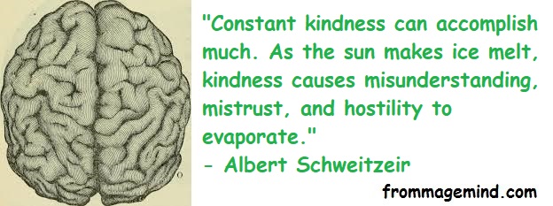 Great Quote by Albert Schweitzeir